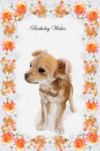 Chihuahua paintings - pet portraits and dogs greeting cards
