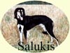 Click for more Images of Saluki paintings
