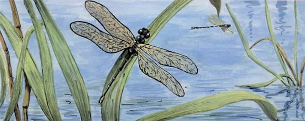 Pet and Animal Portraits from Your Own Photo - Dragonflies