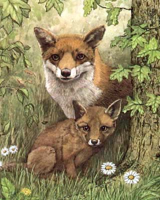 Pet and Animal Portraits from Your Own Photo - Fox and Cub in Watercolours